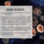 Julia Roberts Instagram - Hi, Dr. Tony Fauci here. I’d like to start with some basics. The more we know about a virus, the better we are able to develop new treatments, tests, and vaccine candidates. These graphics talk about the structure and origins of the virus. Coronaviruses are a family of viruses that derive their name from the fact that, when viewed by an electron microscope, each virion is surrounded by a “corona,” or halo. These spikes, with their crown-like appearance, allow the virus to gain entry to the human body. This current outbreak is from the SARS-CoV-2 strain in the coronavirus family. The infection in the human body is called #COVID19. @NIHgov @NIAID #NIH #NIAID #COVID19 #Coronavirus #Origins #Structure #PassTheMic @ONE