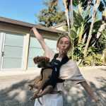 Julianne Hough Instagram - Gracing your feed with some of my favorite #SunnyContent lately 🐶☀️