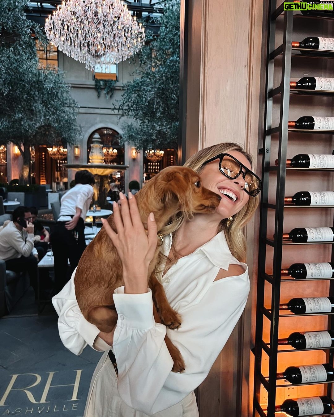 Julianne Hough Instagram - Some #SunnyContent to brighten your Monday ☀️🐶