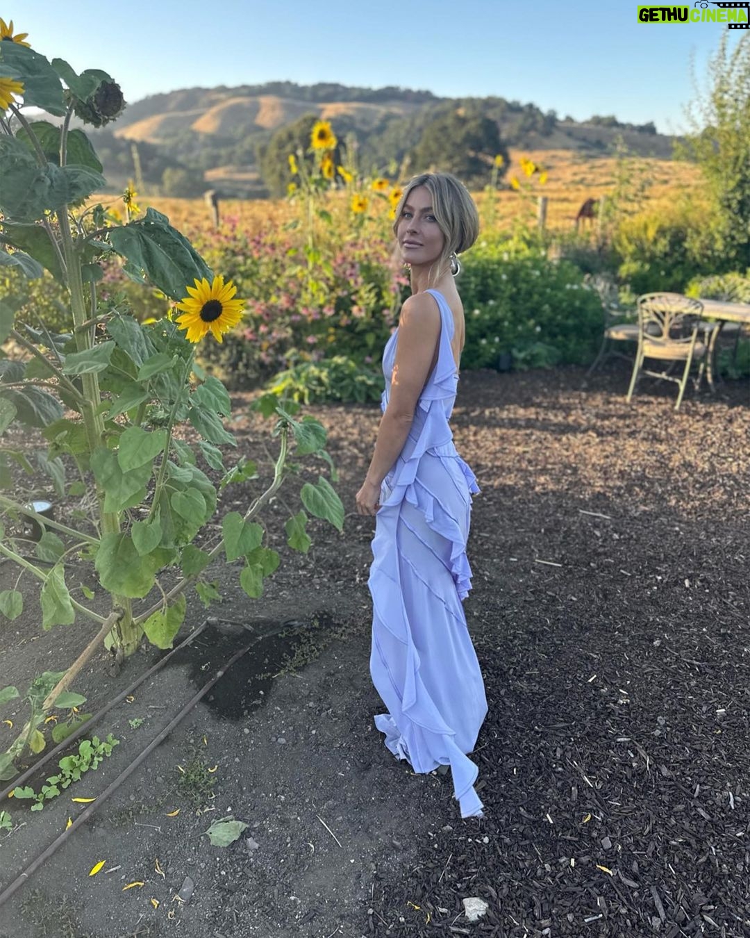 Julianne Hough - 81.7K Likes - A few of my favorite things… sunflowers and a beautiful @victoriabeckham dress 🌻💜
Sunflowers are some of the most magical flowers I’ve come across, which is why they’re my favorite. They always turn to face the sun and they’re known as a symbol for hope, healing and joy - something I always strive to have in my life and surround myself with. Even named my little one Sunny ☀️🐶