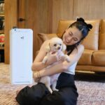 Julie Anne San Jose Instagram - Keeping my family and fur babies safe has always been a top priority and it can be easy as #PerfectingTheAir we breathe. Good thing I have Daikin’s MCK55TVM6 Air Purifier in our home! This model is certified by the British Allergy Foundation that is proven to be effective against allergies such as house dust mites, pollen, smoke, mold and etc. It has a Double Method - Streamer + Active Plasma Ion that decomposes harmful substances and comprises Humidifying and Electrostatic HEPA Filters (good for 10 years) and 4 more filters (that don’t need replacement) to trap all harmful pollutants. So happy that everyday, home feels like a haven with Daikin! 🤍🤍🤍 For more details kindly visit Daikin Philippines’ official website at https://www.daikin.com.ph Get it at 50% OFF with FREE SHIPPING via Daikin’s Air Purifier Online Store: https://bit.ly/3sNO8bP. #DaikinPH #PerfectingTheAir