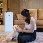 Julie Anne San Jose Instagram - Keeping my family and fur babies safe has always been a top priority and it can be easy as #PerfectingTheAir we breathe. Good thing I have Daikin’s MCK55TVM6 Air Purifier in our home! This model is certified by the British Allergy Foundation that is proven to be effective against allergies such as house dust mites, pollen, smoke, mold and etc. It has a Double Method - Streamer + Active Plasma Ion that decomposes harmful substances and comprises Humidifying and Electrostatic HEPA Filters (good for 10 years) and 4 more filters (that don’t need replacement) to trap all harmful pollutants. So happy that everyday, home feels like a haven with Daikin! 🤍🤍🤍 For more details kindly visit Daikin Philippines’ official website at https://www.daikin.com.ph Get it at 50% OFF with FREE SHIPPING via Daikin’s Air Purifier Online Store: https://bit.ly/3sNO8bP. #DaikinPH #PerfectingTheAir