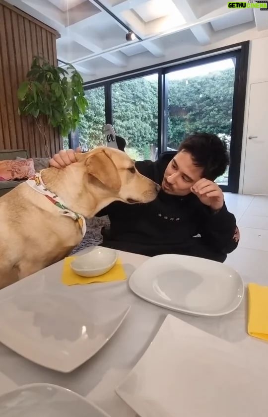 Julien Bam Instagram - Werbung Bin jetzt Babysitter für Dobby. Aber weil ich ihm nicht traue, musste ich Vorkehrungen treffen. Google Nest Cam ist die Antwort. Super einfach zu bedienen, direkt mit Handy koppelbar und ich kann sehen was Dobs macht, wenn ich kurz weg bin. Wer sich für die Cam interessiert checkt jetzt hier: @googlenest