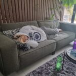Julien Bam Instagram - So waren meine letzten 2 Wochen. Ich liebe den Scheiß ❤❤❤ Das war das aufwendigste Projekt, dass wir jemals in 2 Wochen geschafft haben. Danke für euren Hype! Motiviert richtig. Nach dem dritten Teil des ersten Hauptvideos muss ich erstmal Ferien machen