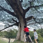 Jumpol Adulkittiporn Instagram – ชม ยัง?