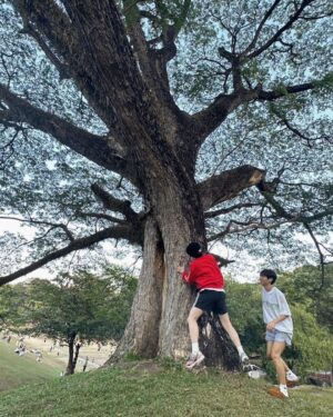 Jumpol Adulkittiporn Instagram - ชม ยัง?