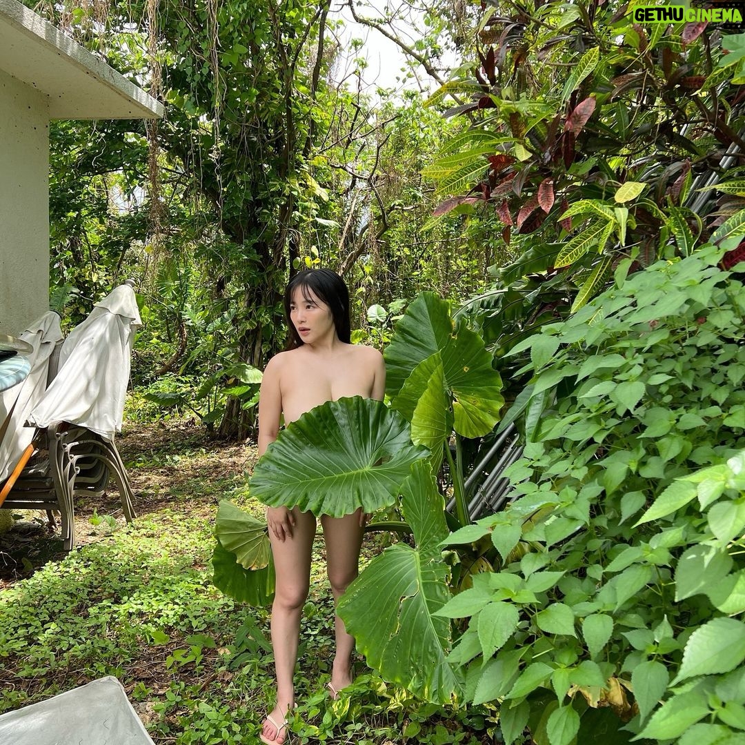 Jun Amaki Instagram - 🩷🩷🩷 🩷5冊目の写真集予約開始🩷 発売日12/22 タイトルは『SSS』トリプルエス 至高にして至福、この上ない超S級の キュート&セクシー。 Amazon表紙解禁してます! 帯や、タイトル付きが上がってきたら 私も載せます。まずはオフショットから。 ぜひご予約お待ちしてます!💕 第5本写真集现已开放预订! 标题是“SSS”Triple S 至尊极乐,终极超S级 可爱又性感。 亚马逊封面已发布! 当腰带或带有标题的封面出现时 我也来发一下吧 我们期待您的预订! 💕 5권째 사진집 예약 개시! 제목은 'SSS' 트리플 에스 최선을 다해 행복, 더 이상 슈퍼 S 급 귀여운 & 섹시. Amazon 표지 해금하고 있습니다! 띠와 제목이있는 표지가 올라 오면 나도 올릴거야. 꼭 예약 기다리고 있습니다! 💕 Pre-order untuk photobook ke-5 kini telah dibuka! Judulnya “SSS” Triple S Agung dan penuh kebahagiaan, kelas S super terhebat Lucu & seksi. Sampul Amazon telah dirilis! Ketika obi atau sampul dengan judul muncul Saya akan mempostingnya juga. Kami menantikan reservasi Anda! 💕 Pre-orders for the 5th photo book are now open! The title is “SSS” Triple S Supreme and blissful, the ultimate super S-class Cute & sexy. Amazon cover has been released! When the obi or the cover with the title comes up I'll post it too. We are looking forward to your reservation! 💕 #SSS #junamaki #天木じゅん