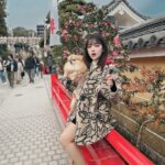 Jun Amaki Instagram - 初詣⛩🌅🎍中山寺 なんと！ママと2人で大吉出しました❤️❤️ 2024年良い年になる予感するなぁ〜っ👏🏻👏🏻 コロネちゃんも沢山歩きました🫶🏻 #初詣 #中山寺 #兵庫県 #天木code