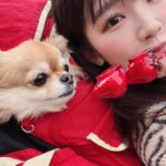 Jun Amaki Instagram - 初詣⛩🌅🎍中山寺 なんと！ママと2人で大吉出しました❤️❤️ 2024年良い年になる予感するなぁ〜っ👏🏻👏🏻 コロネちゃんも沢山歩きました🫶🏻 #初詣 #中山寺 #兵庫県 #天木code
