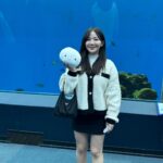 Jun Amaki Instagram - 最近の遊び🏮🐬🍓☕️ #天木code