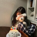Jung Chae-yeon Instagram - 저엉말 늦은 업로드🫣 항상 감사합니다 사랑합니다💛 (편집까지🫢감동입니다 감독님.)
