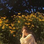 Jung Chae-yeon Instagram - 밀린모음집.
