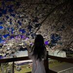 Jung Chae-yeon Instagram - 봄, 벚꽃 🌸
