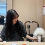 Jung Chae-yeon Instagram –