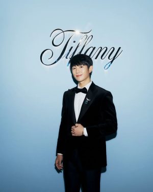 Jung Hae-in Instagram - 2023 Tiffany Diamond & Wonders 💎

@tiffanyandco #tiffany #tiffanyhighjewelry #티파니