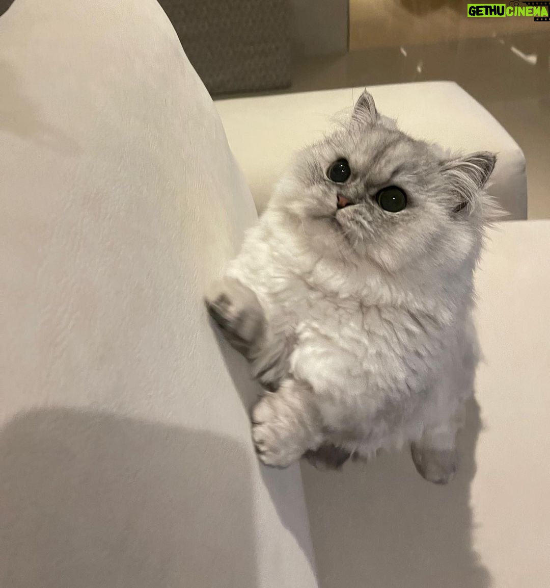 Jung Jin-young Instagram - 오늘은 블리의 날! ㅋㅋㅋ