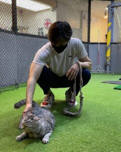 Jung Jin-young Instagram - 귀여운 고양이 도도 ㅋㅋㅋ #진영 #도도