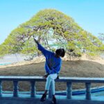 Jung Kyung-ho Instagram - 봄 봄 봄 보보보봄☺️🎵🎶