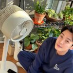 Jung Kyung-ho Instagram - 가을바람같은 실내바람☺️☺️ 사계절내내🪴 @shinil.official
