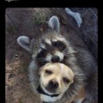 Jussie Smollett Instagram - Some Things…
