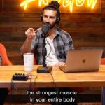 Justin Baldoni Instagram – I believe the difference between physical bravery and emotional bravery is the heart🫀. One of the most important things I always remind my son is that the strongest muscle in his body, is his heart. Because without that, all the physical strength in the world means nothing. 
 
The courage of @georgesstpierre goes far beyond his fighting in the octagon… (although he is one of the most badass fighters I have ever met hands down 🙌🏼) his strength comes from his ability to be vulnerable and be a role model to other men. This physically ideal alpha man is courageous talking to us about his past bullies and struggles with depression.. but also his regrets of not being transparent to the public about his mental health. Emotional bravery is one of the scariest things a man can do. I am so grateful to Georges for being a part of our show. 

You can listen to the whole episode in the Link In my Bio 👈🏼