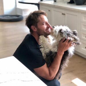 Justin Hartley Instagram - Every single day is #nationaldogday