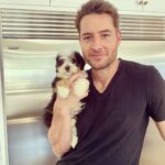 Justin Hartley Instagram - New development! Meet Paisley! We’re already in love.