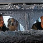 Justin Hartley Instagram - Sending out a few images from my upcoming film, #TheNoelDiary! Coming to @Netflix on November 24th. Also, be sure to tune into @accesshollywood tonight to be the first to see our trailer!