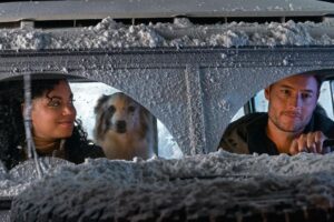 Justin Hartley Instagram - Sending out a few images from my upcoming film, #TheNoelDiary! Coming to @Netflix on November 24th. Also, be sure to tune into @accesshollywood tonight to be the first to see our trailer!