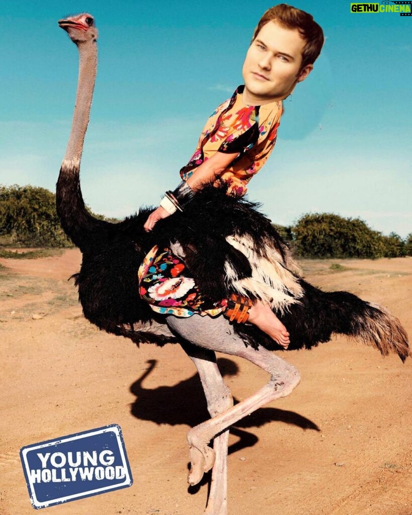 Justin Prentice Instagram - This is me on an ostrich. #ostrich