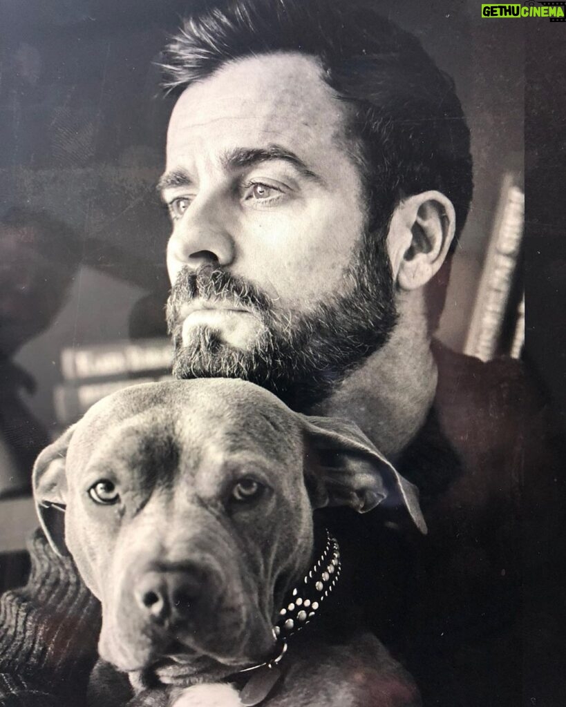 Justin Theroux Instagram - Happy National Dog Day! 🐾 ❤️ #adoptdontshop Get a life! Seriously you can just go get one!