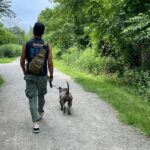 Justin Theroux Instagram - Happy National Dog Day! 🐾 ❤️ #adoptdontshop Get a life! Seriously you can just go get one!