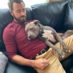 Justin Theroux Instagram - Celebrating Kuma’s Gotcha Day! June 8, 2018, 3 years ago today. 🎂 I know you can’t read Kuma, but thank you for being so open, making me laugh, sleeping in later than me, going everywhere by my side, reminding me to stay in the present, to let things roll off me, to have gratitude and joy for everything, even just waking up. Reminding me to be playful. For showing patience. For not judging anyone, (except skateboards that you judge harshly). For showing kindness first, to literally everyone you meet. For being an exceptional (but not uncommon) Pitbull ambassador. For helping save other Pittbulls like yourself by letting me tell people your story… For being loyal. For being my gray shadow… And above all, for guarding the bathroom door literally every time i take a piss like my life depended on it. And THANK YOU to all the hands that cared for Kuma before I got there. And an extra special thanks to ALL who work in animal rescue (usually very quietly) who make Kuma’s story possible for thousands of other animals every day. You are my heroes. I’ll say it again… #adoptdontshop ❤️ 🙏 … you won’t regret it.