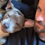 Justin Theroux Instagram - Celebrating Kuma’s Gotcha Day! June 8, 2018, 3 years ago today. 🎂 I know you can’t read Kuma, but thank you for being so open, making me laugh, sleeping in later than me, going everywhere by my side, reminding me to stay in the present, to let things roll off me, to have gratitude and joy for everything, even just waking up. Reminding me to be playful. For showing patience. For not judging anyone, (except skateboards that you judge harshly). For showing kindness first, to literally everyone you meet. For being an exceptional (but not uncommon) Pitbull ambassador. For helping save other Pittbulls like yourself by letting me tell people your story… For being loyal. For being my gray shadow… And above all, for guarding the bathroom door literally every time i take a piss like my life depended on it. And THANK YOU to all the hands that cared for Kuma before I got there. And an extra special thanks to ALL who work in animal rescue (usually very quietly) who make Kuma’s story possible for thousands of other animals every day. You are my heroes. I’ll say it again… #adoptdontshop ❤️ 🙏 … you won’t regret it.