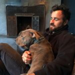Justin Theroux Instagram - Celebrating Kuma’s Gotcha Day! June 8, 2018, 3 years ago today. 🎂 I know you can’t read Kuma, but thank you for being so open, making me laugh, sleeping in later than me, going everywhere by my side, reminding me to stay in the present, to let things roll off me, to have gratitude and joy for everything, even just waking up. Reminding me to be playful. For showing patience. For not judging anyone, (except skateboards that you judge harshly). For showing kindness first, to literally everyone you meet. For being an exceptional (but not uncommon) Pitbull ambassador. For helping save other Pittbulls like yourself by letting me tell people your story… For being loyal. For being my gray shadow… And above all, for guarding the bathroom door literally every time i take a piss like my life depended on it. And THANK YOU to all the hands that cared for Kuma before I got there. And an extra special thanks to ALL who work in animal rescue (usually very quietly) who make Kuma’s story possible for thousands of other animals every day. You are my heroes. I’ll say it again… #adoptdontshop ❤️ 🙏 … you won’t regret it.