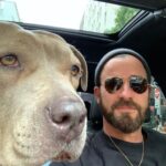 Justin Theroux Instagram - Celebrating Kuma’s Gotcha Day! June 8, 2018, 3 years ago today. 🎂 I know you can’t read Kuma, but thank you for being so open, making me laugh, sleeping in later than me, going everywhere by my side, reminding me to stay in the present, to let things roll off me, to have gratitude and joy for everything, even just waking up. Reminding me to be playful. For showing patience. For not judging anyone, (except skateboards that you judge harshly). For showing kindness first, to literally everyone you meet. For being an exceptional (but not uncommon) Pitbull ambassador. For helping save other Pittbulls like yourself by letting me tell people your story… For being loyal. For being my gray shadow… And above all, for guarding the bathroom door literally every time i take a piss like my life depended on it. And THANK YOU to all the hands that cared for Kuma before I got there. And an extra special thanks to ALL who work in animal rescue (usually very quietly) who make Kuma’s story possible for thousands of other animals every day. You are my heroes. I’ll say it again… #adoptdontshop ❤️ 🙏 … you won’t regret it.