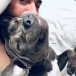 Justin Theroux Instagram - Celebrating Kuma’s Gotcha Day! June 8, 2018, 3 years ago today. 🎂 I know you can’t read Kuma, but thank you for being so open, making me laugh, sleeping in later than me, going everywhere by my side, reminding me to stay in the present, to let things roll off me, to have gratitude and joy for everything, even just waking up. Reminding me to be playful. For showing patience. For not judging anyone, (except skateboards that you judge harshly). For showing kindness first, to literally everyone you meet. For being an exceptional (but not uncommon) Pitbull ambassador. For helping save other Pittbulls like yourself by letting me tell people your story… For being loyal. For being my gray shadow… And above all, for guarding the bathroom door literally every time i take a piss like my life depended on it. And THANK YOU to all the hands that cared for Kuma before I got there. And an extra special thanks to ALL who work in animal rescue (usually very quietly) who make Kuma’s story possible for thousands of other animals every day. You are my heroes. I’ll say it again… #adoptdontshop ❤️ 🙏 … you won’t regret it.