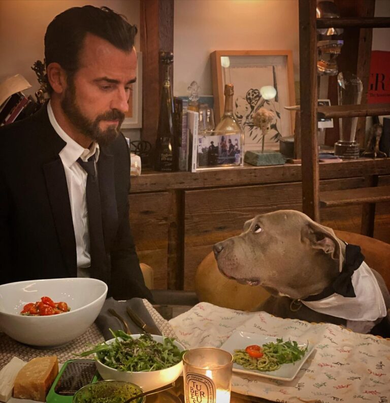 Justin Theroux Instagram - #formalfriday @jimmykimmel #kummerbund #stayhome Day 97. We had a fight today.. but worked through it. Oh... and dinner was spaghetti with pesto. Baby tomatoes. Salad. Kuma is wearing a bow tie and tux bib. Natch. 🚺 NYC