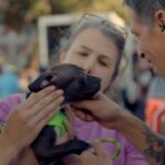 Justin Theroux Instagram - VERY proud of our movie @ladyandthetramp ... who cast and then found HOMES for so many rescue dogs... AND our partnership with @animalleague who saves lives EVERY DAY 24/7!!!! Sometimes things are just good in this world. This is one of em. Thanks @disneyplus for finding an incredible way to make a difference in the lives of shelter animals.