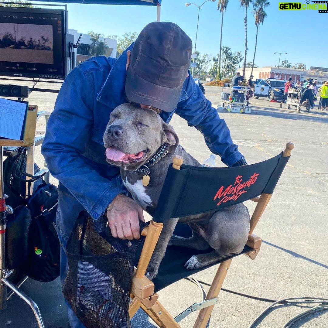Justin Theroux Instagram - FBF to The first day on the set of The Mosquito Coast (w Kuma natch). 🦟 🏝 Premiering one week from today on @appletvplus Set your VCRs! 📼 #themosquitocoast Stockton, California