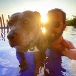 Justin Theroux Instagram - Today’s the DAY! 😊 🐾 Happy Adopt a Shelter Pet Day! If you are in the market for a dog, cat, rabbit, or ANY animal… skip the ‘market’ altogether! Go down to your local shelter and get a LIFE! There are literally MILLIONS of animals just like Kuma here looking for homes. If you are willing to make this life changing commitment and able to care for a pet… please VISIT YOUR LOCAL SHELTER! Or even foster one for a while! Our shelters need us ALL to SAVE them all! #adoptdontshop #nationaladoptashelterpetday @austinpetsalive @aspca @standupforpitsfoundation @bestfriendsanimalsociety @socialteesnyc