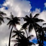 Justin Theroux Instagram - 2020 🌬🌴 🌞 Dorado Beach, a Ritz-Carlton Reserve