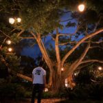 Justin Theroux Instagram - 2020 🌬🌴 🌞 Dorado Beach, a Ritz-Carlton Reserve