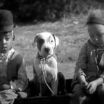 Justin Theroux Instagram - This is Helen Keller. Pitt Bull Owner... And....You will probably not get through this post. But i hope you do. Today is National Pit Bull Awareness day. Just a few short facts.... pit bulls have served America for over a century. Helen Keller adored them. They are remarkable service dogs. They have served admirably in WW1 and other theaters of war, Have fought and died in combat in the Civil War fighting for the North (and have monuments built to honor them). They have been spokes’people’ for major US brands, have entertained us in movies, and been the first among us to travel across our great country by car... there was a time they were basically the Labradoodle of our country. Known for being smart, loyal, obedient, protective and kind. Yet for some reason, today we have abandoned them... they are put to death more than any other dog breed in our country. This is devastating to me. I love ALL DOGS. But since it is Pit Bull Awareness Day, I hope to bring some awareness on their behalf... and some badly needed love to this beautiful animal. I believe we have let the Pit Bull down. A breed that is misunderstood, abused, and forced to fight by people who raise them to go against their nature. If you have a minute today... please research all the good they have done for us... if you can, please help one that is at this moment in need... if you can’t do that? Just try to change your attitude a little towards them. They have done an enormous amount for us and asked for nothing in return.... at the very least, if you see a pitbull... give them a pat on the head. And tell them they’re a good puppy. Like all dogs.... They deserve it. #nationalpitbullawarenessday #adoptdontshop