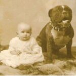 Justin Theroux Instagram - This is Helen Keller. Pitt Bull Owner... And....You will probably not get through this post. But i hope you do. Today is National Pit Bull Awareness day. Just a few short facts.... pit bulls have served America for over a century. Helen Keller adored them. They are remarkable service dogs. They have served admirably in WW1 and other theaters of war, Have fought and died in combat in the Civil War fighting for the North (and have monuments built to honor them). They have been spokes’people’ for major US brands, have entertained us in movies, and been the first among us to travel across our great country by car... there was a time they were basically the Labradoodle of our country. Known for being smart, loyal, obedient, protective and kind. Yet for some reason, today we have abandoned them... they are put to death more than any other dog breed in our country. This is devastating to me. I love ALL DOGS. But since it is Pit Bull Awareness Day, I hope to bring some awareness on their behalf... and some badly needed love to this beautiful animal. I believe we have let the Pit Bull down. A breed that is misunderstood, abused, and forced to fight by people who raise them to go against their nature. If you have a minute today... please research all the good they have done for us... if you can, please help one that is at this moment in need... if you can’t do that? Just try to change your attitude a little towards them. They have done an enormous amount for us and asked for nothing in return.... at the very least, if you see a pitbull... give them a pat on the head. And tell them they’re a good puppy. Like all dogs.... They deserve it. #nationalpitbullawarenessday #adoptdontshop