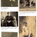 Justin Theroux Instagram - This is Helen Keller. Pitt Bull Owner... And....You will probably not get through this post. But i hope you do. Today is National Pit Bull Awareness day. Just a few short facts.... pit bulls have served America for over a century. Helen Keller adored them. They are remarkable service dogs. They have served admirably in WW1 and other theaters of war, Have fought and died in combat in the Civil War fighting for the North (and have monuments built to honor them). They have been spokes’people’ for major US brands, have entertained us in movies, and been the first among us to travel across our great country by car... there was a time they were basically the Labradoodle of our country. Known for being smart, loyal, obedient, protective and kind. Yet for some reason, today we have abandoned them... they are put to death more than any other dog breed in our country. This is devastating to me. I love ALL DOGS. But since it is Pit Bull Awareness Day, I hope to bring some awareness on their behalf... and some badly needed love to this beautiful animal. I believe we have let the Pit Bull down. A breed that is misunderstood, abused, and forced to fight by people who raise them to go against their nature. If you have a minute today... please research all the good they have done for us... if you can, please help one that is at this moment in need... if you can’t do that? Just try to change your attitude a little towards them. They have done an enormous amount for us and asked for nothing in return.... at the very least, if you see a pitbull... give them a pat on the head. And tell them they’re a good puppy. Like all dogs.... They deserve it. #nationalpitbullawarenessday #adoptdontshop