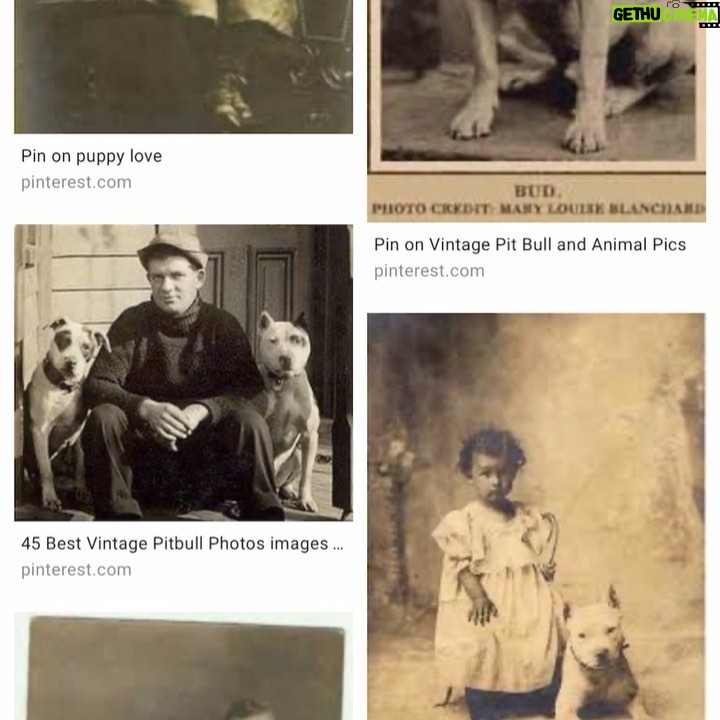 Justin Theroux Instagram - This is Helen Keller. Pitt Bull Owner... And....You will probably not get through this post. But i hope you do. Today is National Pit Bull Awareness day. Just a few short facts.... pit bulls have served America for over a century. Helen Keller adored them. They are remarkable service dogs. They have served admirably in WW1 and other theaters of war, Have fought and died in combat in the Civil War fighting for the North (and have monuments built to honor them). They have been spokes’people’ for major US brands, have entertained us in movies, and been the first among us to travel across our great country by car... there was a time they were basically the Labradoodle of our country. Known for being smart, loyal, obedient, protective and kind. Yet for some reason, today we have abandoned them... they are put to death more than any other dog breed in our country. This is devastating to me. I love ALL DOGS. But since it is Pit Bull Awareness Day, I hope to bring some awareness on their behalf... and some badly needed love to this beautiful animal. I believe we have let the Pit Bull down. A breed that is misunderstood, abused, and forced to fight by people who raise them to go against their nature. If you have a minute today... please research all the good they have done for us... if you can, please help one that is at this moment in need... if you can’t do that? Just try to change your attitude a little towards them. They have done an enormous amount for us and asked for nothing in return.... at the very least, if you see a pitbull... give them a pat on the head. And tell them they’re a good puppy. Like all dogs.... They deserve it. #nationalpitbullawarenessday #adoptdontshop