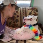 Justin Theroux Instagram - BREAKING!!! In a WORLD OF BAD NEWS HERE IS YOUR BRIGHT SPOT!!! (Literally) It happened... it FINALLY HAPPENED! Congratulations Nick & Crysta on adopting SPOT! A HUGE group of people at @austinpetsalive kept the faith and after hurricane Harvey and TWO YEARS in Austin he finally has a family. I am so proud of the people who gave him so much love for those two years... and so happy for Nick and Crysta. Thank you for believing in his big harlequin smile and HUGE heart. It’s so nice thinking of him sleeping cozy in a real home with you tonight.. Oh! And make sure to follow him at @spotinatx !!! I’m gonna go cry some more... brb. #adoptdontshop #yourdogisouthere #pitbull