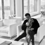 Justin Theroux Instagram - Happy National Dog Day! 🐾 ❤️ #adoptdontshop Get a life! Seriously you can just go get one!