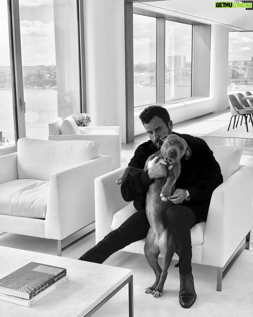 Justin Theroux Instagram - Happy National Dog Day! 🐾 ❤️ #adoptdontshop Get a life! Seriously you can just go get one!
